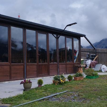 Guesthouse Omalo ภายนอก รูปภาพ