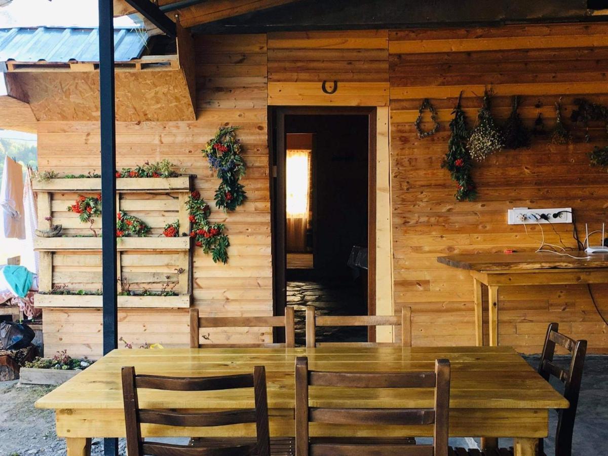 Guesthouse Omalo ภายนอก รูปภาพ