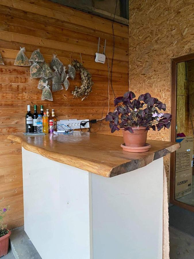 Guesthouse Omalo ภายนอก รูปภาพ